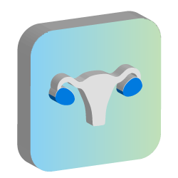 난소 3D 아이콘