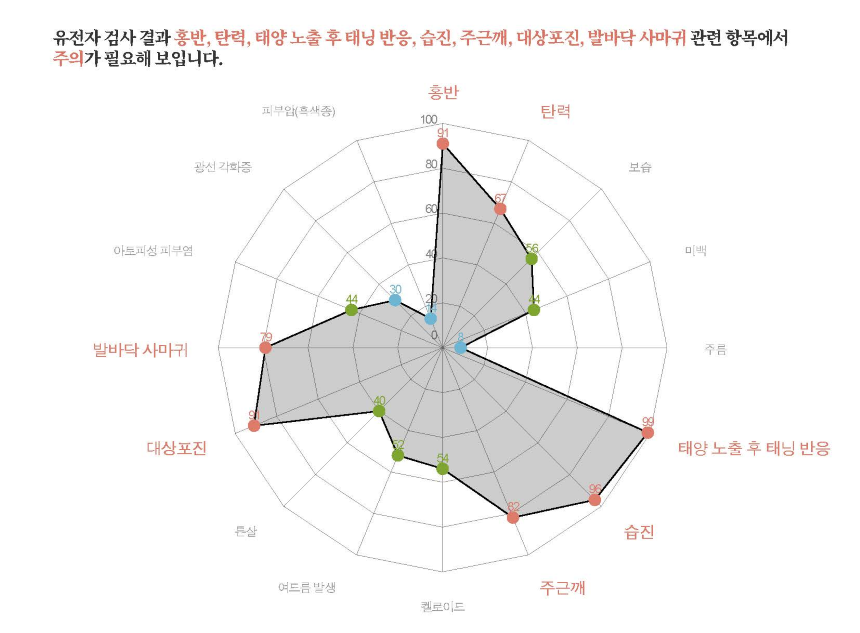 리포트 종합 결과