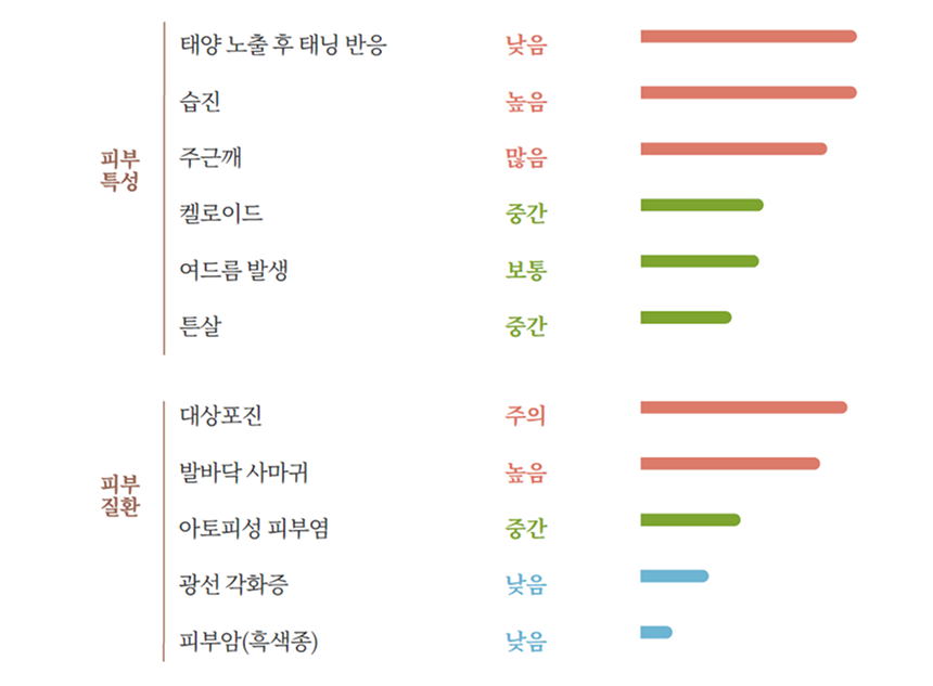리포트 종합 결과 상세